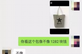 仁寿为什么选择专业追讨公司来处理您的债务纠纷？